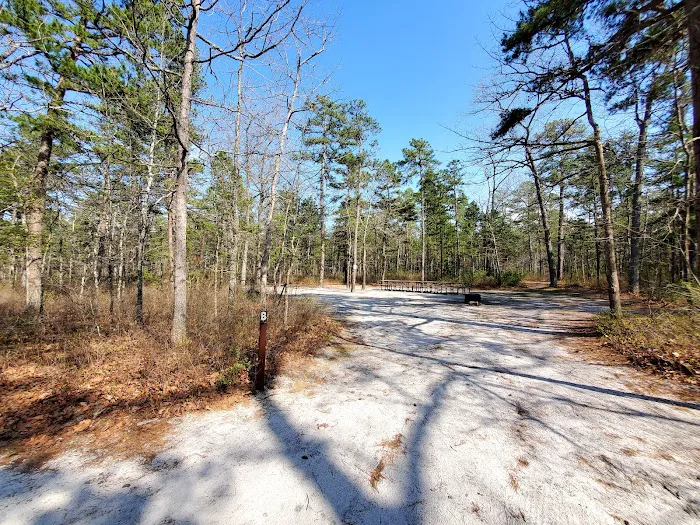 Brendan T Byrne State Forest Campground Picture 8
