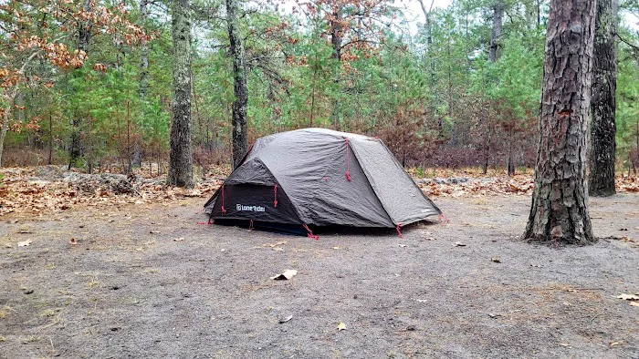 Brendan T Byrne State Forest Campground Picture 1