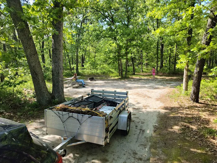 Brendan T Byrne State Forest Campground Picture 9
