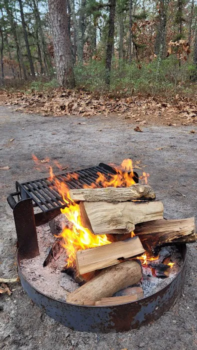 Brendan T Byrne State Forest Campground Picture 10