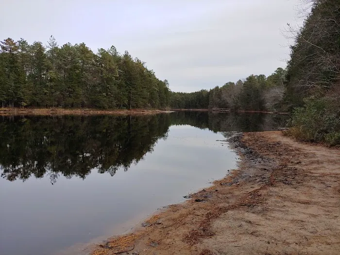Brendan T Byrne State Forest Campground Picture 4