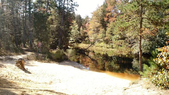 Bodine Field Campground Picture 9