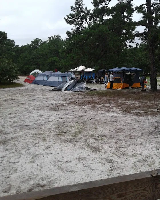 Bodine Field Campground Picture 4