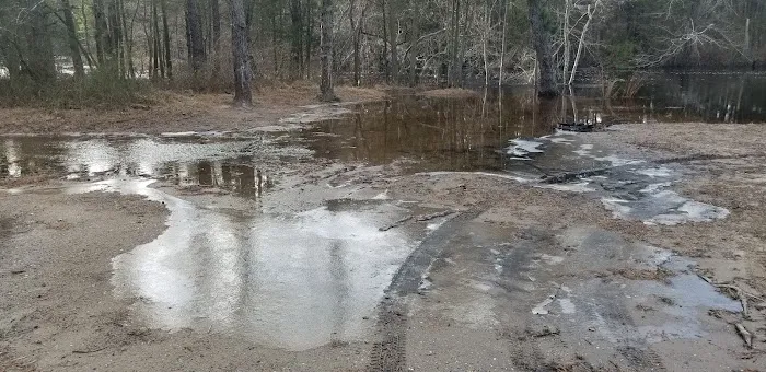 Bodine Field Campground Picture 1