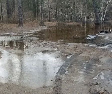 Bodine Field Campground