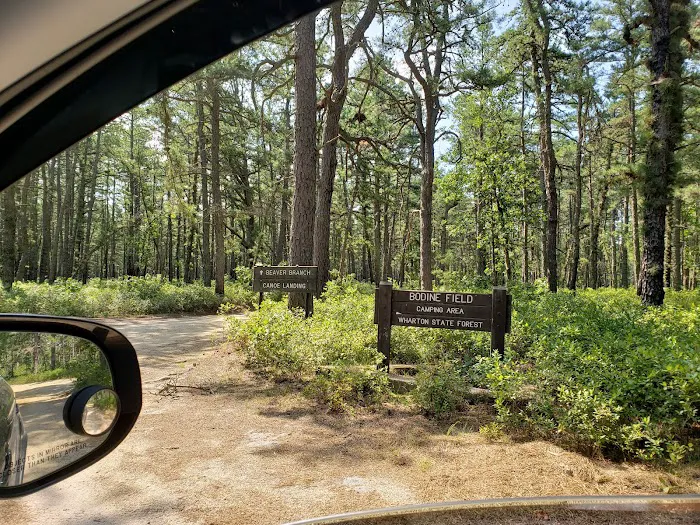 Bodine Field Campground Picture 3