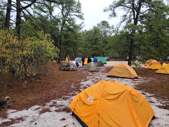 Bodine Field Campground Picture 8