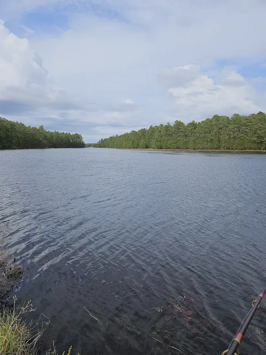 Bodine Field Campground Picture 7