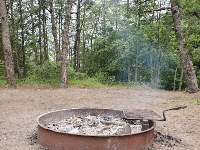 Bodine Field Campground Picture 10
