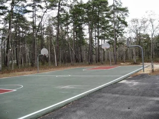 Timberline Lake Camping Resort Picture 3