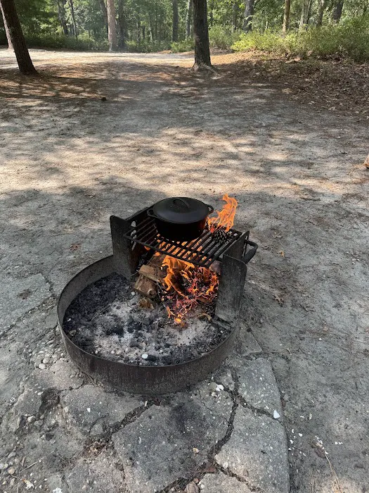 South Campground at Bass River State Forest Picture 4