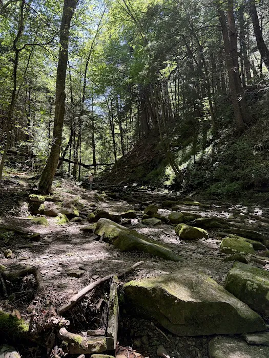 Allegany State Park Picture 6