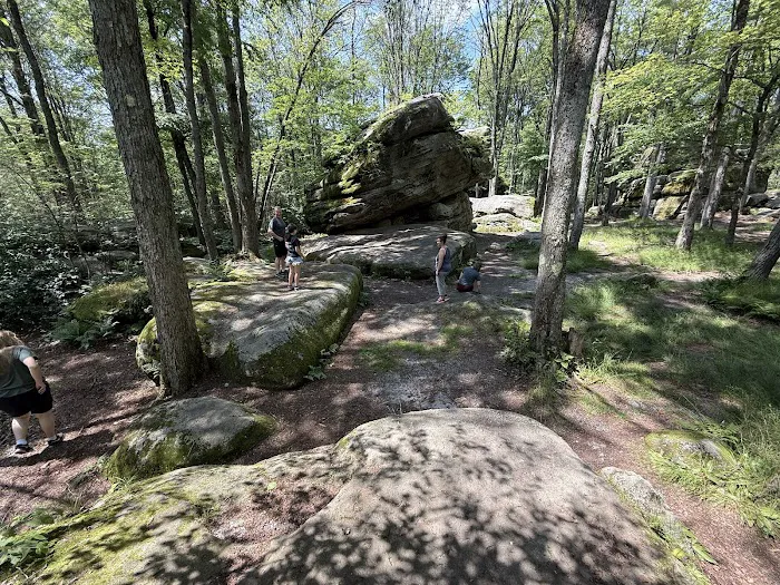 Allegany State Park Picture 9