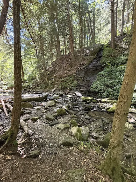 Allegany State Park Picture 10