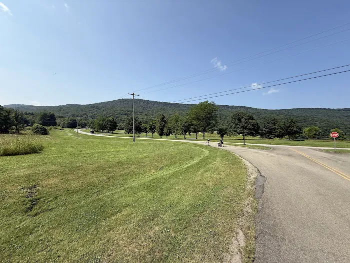 Allegany State Park Picture 1