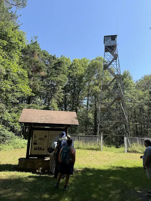 Allegany State Park Picture 7