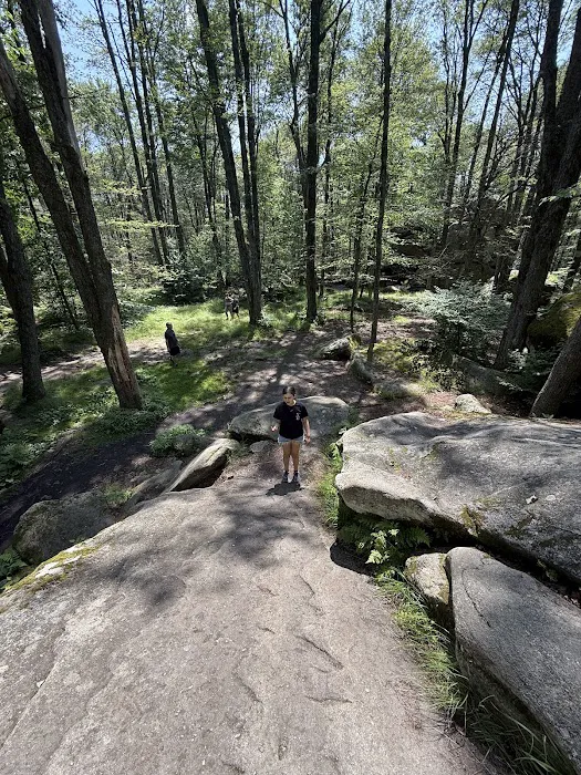 Allegany State Park Picture 4