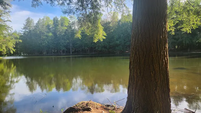 Hemlock Lakes Campground Picture 1