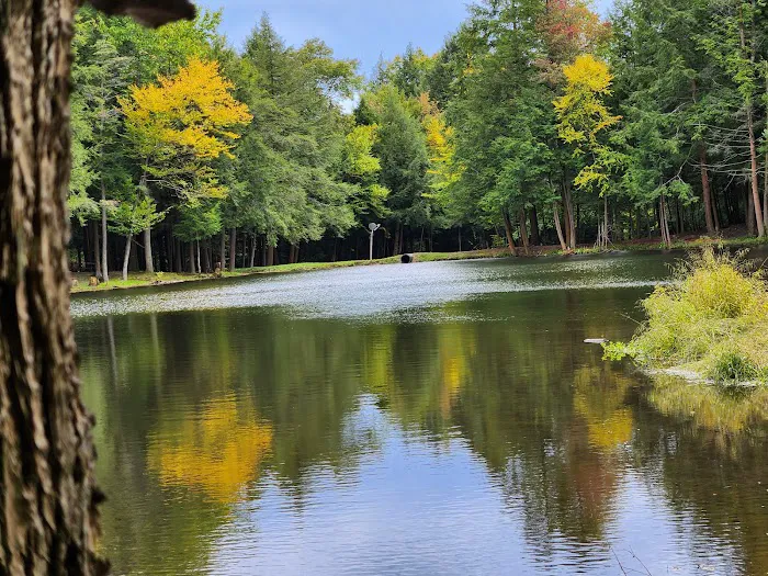 Hemlock Lakes Campground Picture 2