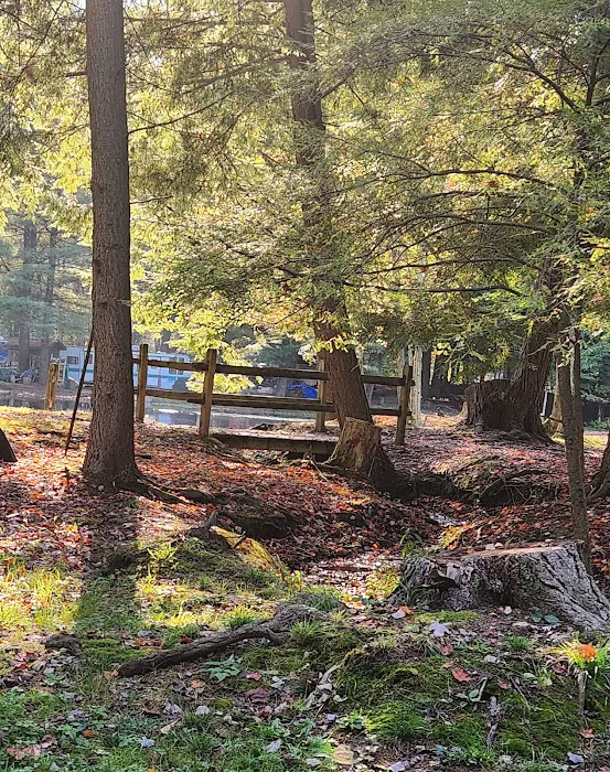 Hemlock Lakes Campground Picture 4