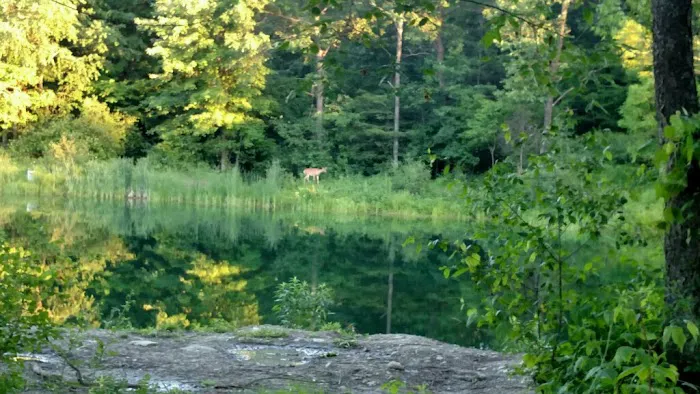 Leisure Lake Campground Picture 4