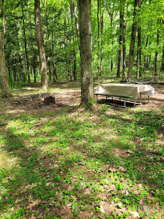 Wildwood Acres Campground Picture 9