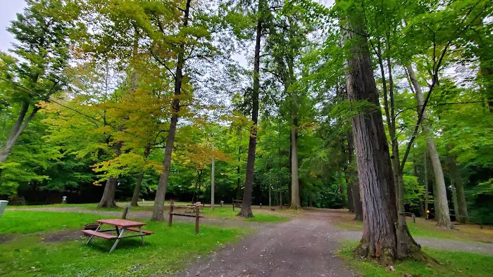 Camp Chautauqua Picture 5