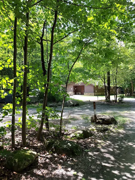 World's End State Park Family Campground Picture 2