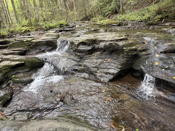 World's End State Park Family Campground Picture 3
