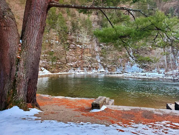 World's End State Park Family Campground Picture 6