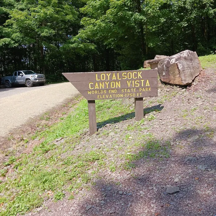 World's End State Park Family Campground Picture 4
