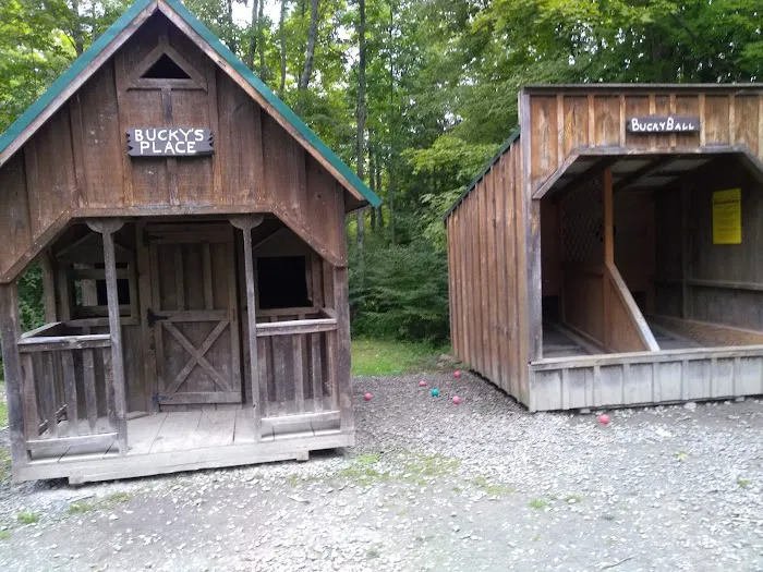 Jellystone Park™ Pennsylvania Wilds Picture 9