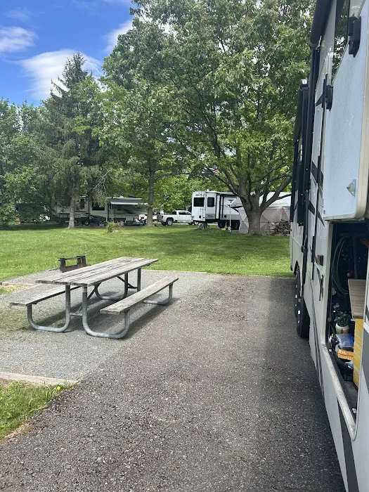 Ives Run Campground Picture 4