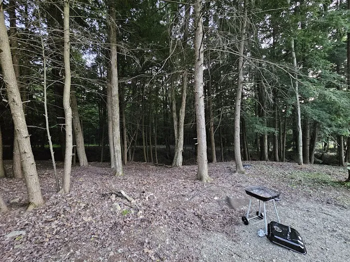 Deer Run Campgrounds Picture 6