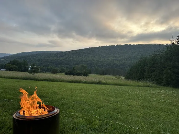 Bines Hill Campsites Picture 4