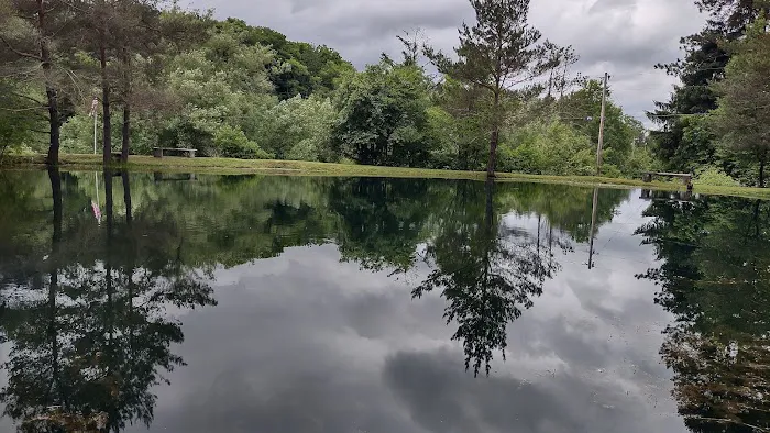 Camp Emerald Acres Picture 6