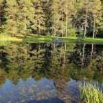 Camp Emerald Acres