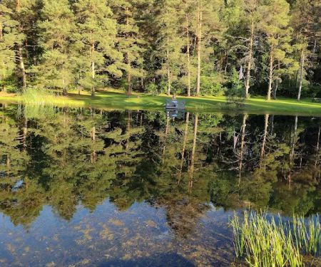 Camp Emerald Acres
