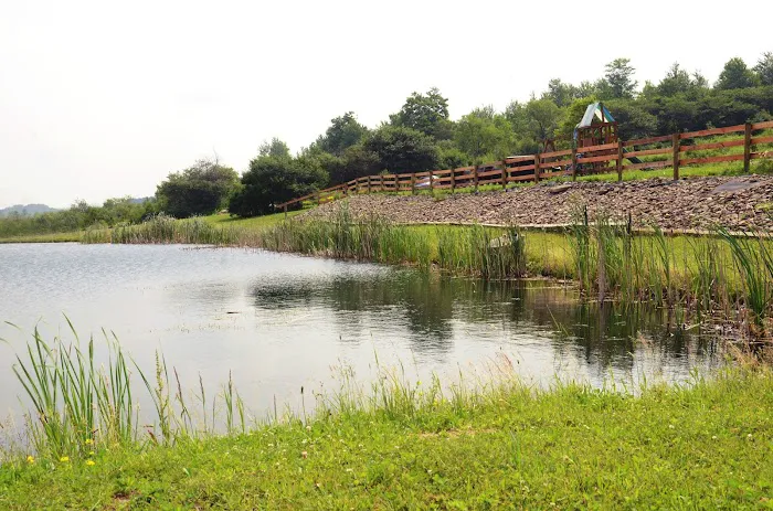 Harwood Haven Inc Picture 8