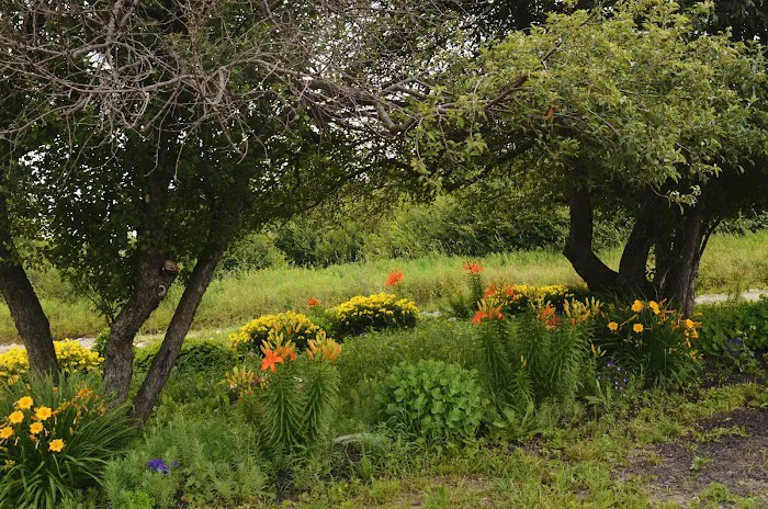 Harwood Haven Inc Picture 5