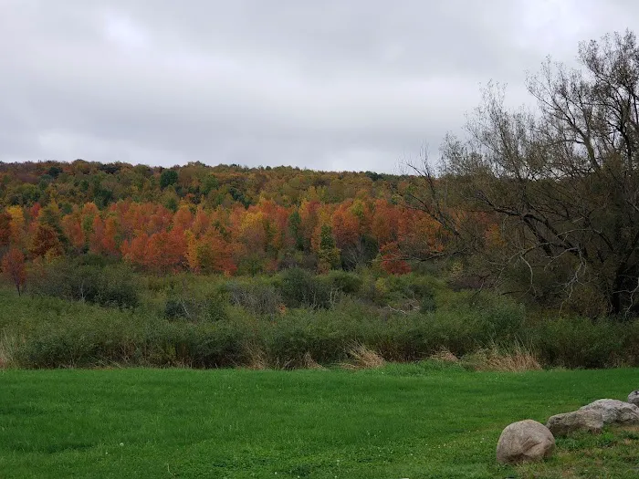 Harwood Haven Inc Picture 4