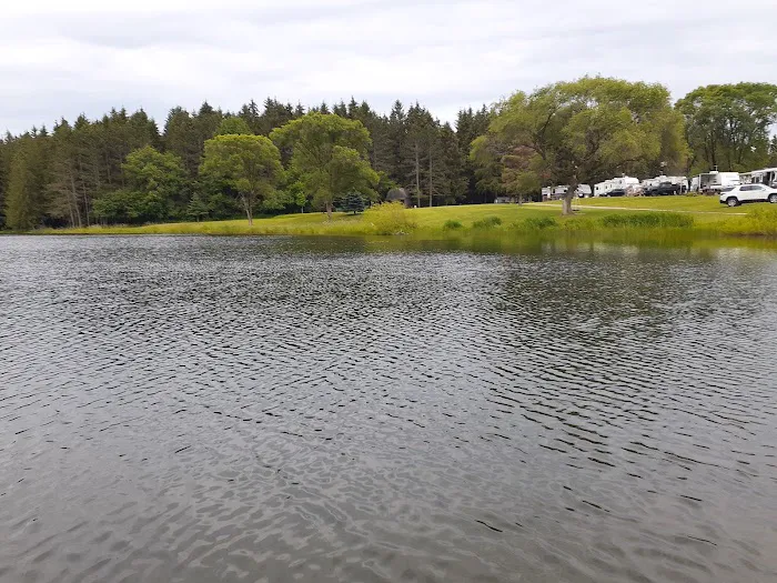Shamrock Pines Campground Picture 3
