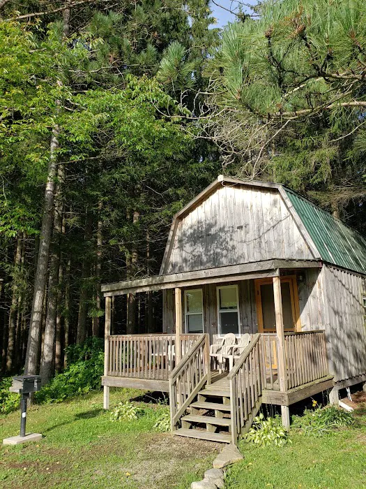 Shamrock Pines Campground Picture 10