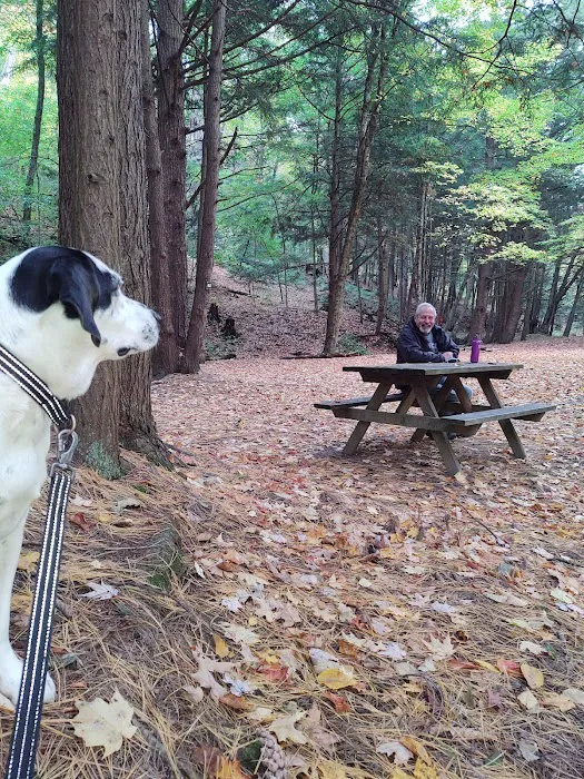 Evergreen Trails Campgrounds Picture 9