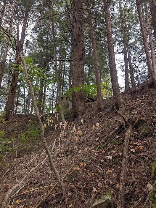 Evergreen Trails Campgrounds Picture 7