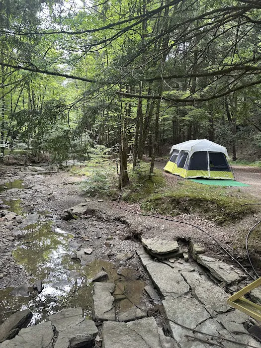 Evergreen Trails Campgrounds Picture 8
