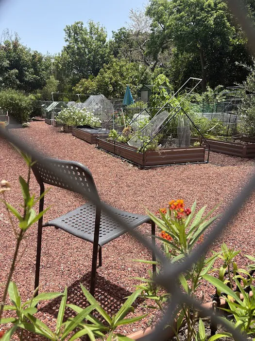 Pine Tree Park Picture 1