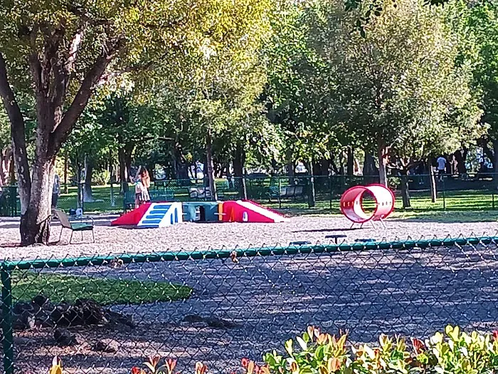 Pine Tree Park Picture 5