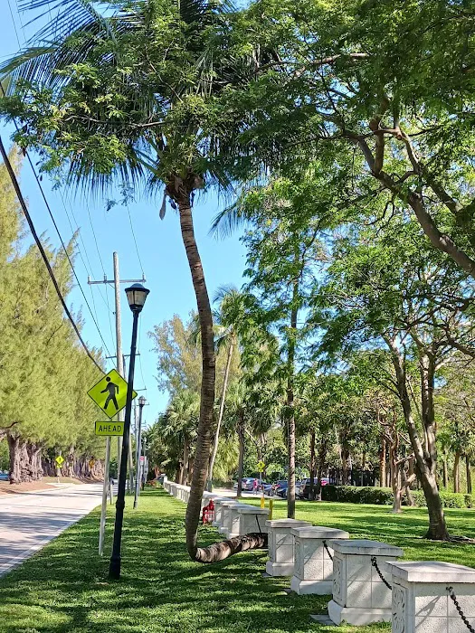 Pine Tree Park Picture 4