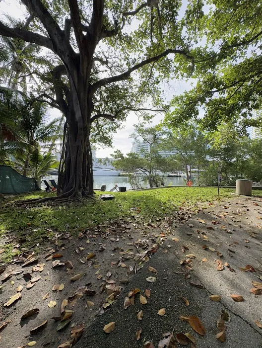 Pine Tree Park Picture 2